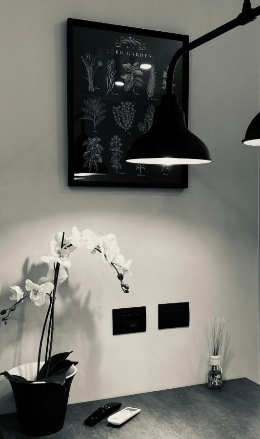 La Tana Del Ludo Daire Baveno Dış mekan fotoğraf